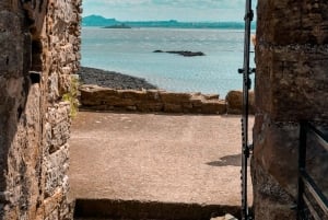 Excursion en bateau et visite guidée de l'île d'Inchcolm