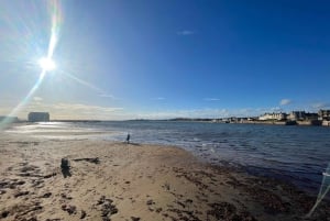 Uroki wybrzeża: Wycieczka 1-dniowa do St Andrews i Królestwa Fife