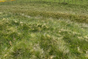 A escolha dos decifradores de códigos: A Capela Rosslyn e o Código Da Vinci