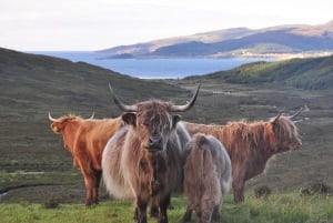 Edinburgh: 2-dagars tur till Loch Ness, Glencoe och högländerna