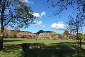 Edimburgo: uma experiência escocesa para crianças na Alemanha