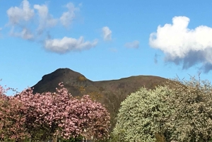 Edimburgo: uma experiência escocesa para crianças na Alemanha