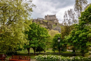 Edinburghin lentoasema: Bussikuljetus