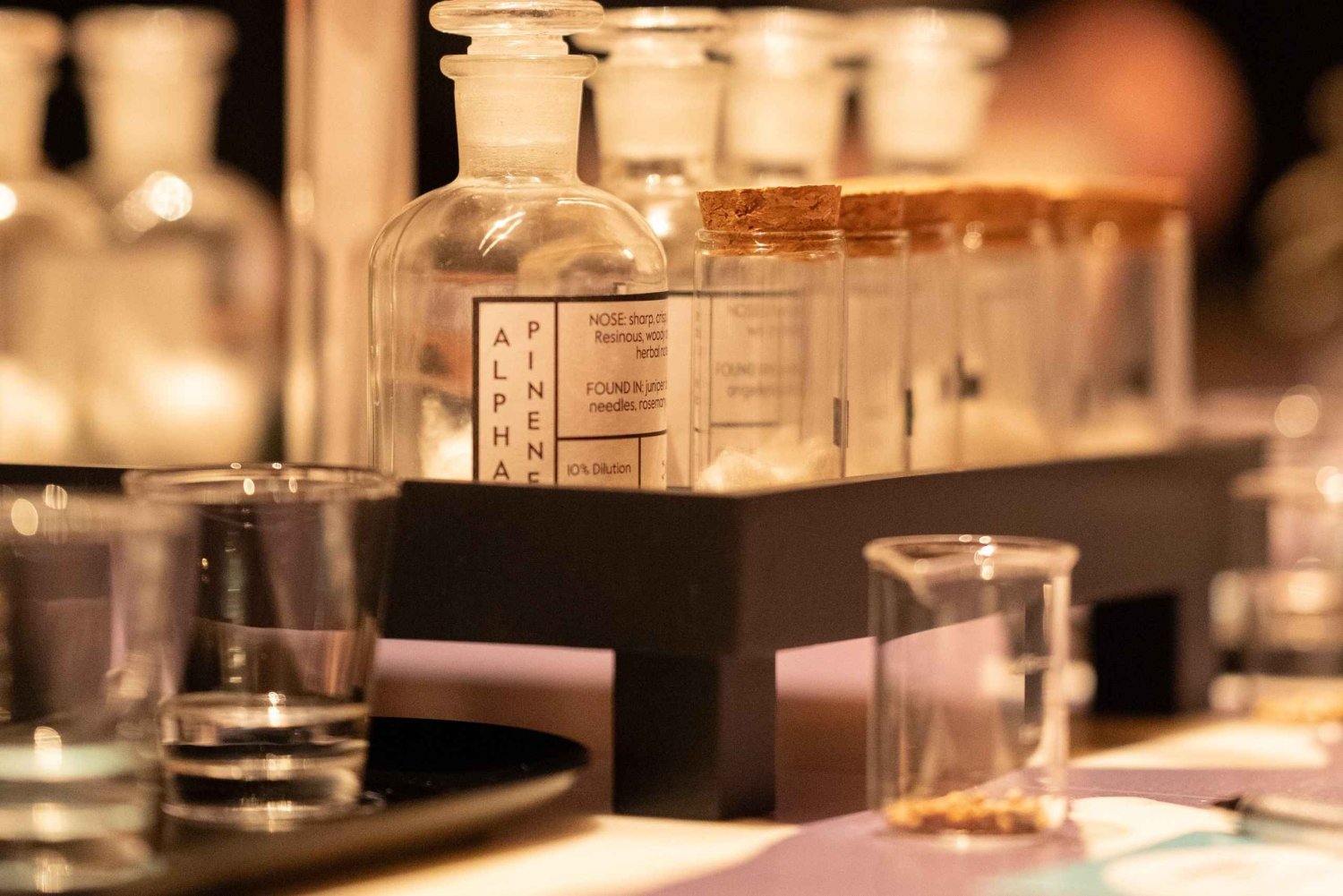 Edinburgh: Alchemy Gin-Verkostungs-Meisterklasse