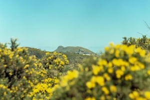 Edynburg: Wędrówka Arthur's Seat z przewodnikiem górskim