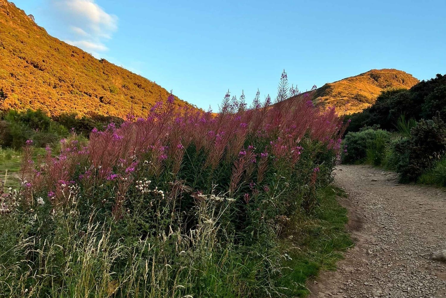 Edinburgh: Arthur's Seat Hiking Tour with Local Guide