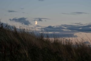 Edimburgo: Escursione al tramonto sull'Arthur's Seat