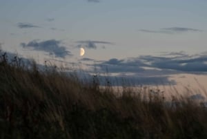 Edimburgo: Escursione al tramonto sull'Arthur's Seat