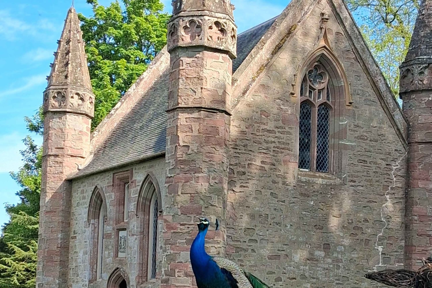 Эдинбург: Королевский тур по замку Балморал и дворцу Скоун