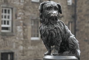 Edinburgh: Rundvisning på slottet og i den gamle bydel med billetter, kort og guide