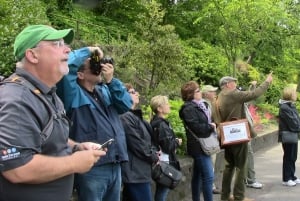 Edinburgh: City Highlights Private Guided Walking Tour