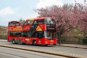 Sightseeing med Hop-On Hop-Off-buss i byen