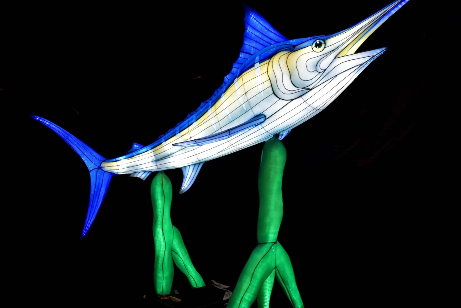 Edinburgh: Entrébilletter til Edinburgh Zoo m. kæmpelanterner