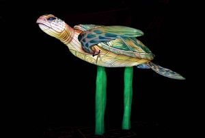 Edynburg: bilety wstępu na Gigantyczne Lampiony w zoo w Edynburgu