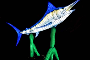 Edynburg: bilety wstępu na Gigantyczne Lampiony w zoo w Edynburgu