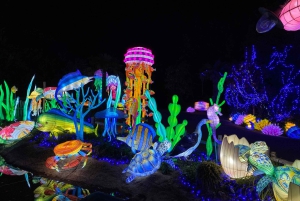 Edynburg: bilety wstępu na Gigantyczne Lampiony w zoo w Edynburgu