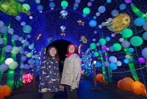 Edynburg: bilety wstępu na Gigantyczne Lampiony w zoo w Edynburgu