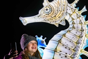 Edynburg: bilety wstępu na Gigantyczne Lampiony w zoo w Edynburgu