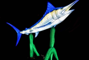 Edinburgh: Entrébilletter til Edinburgh Zoo m. kæmpelanterner