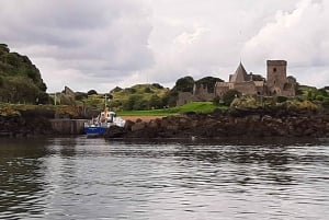 Sightseeing med båt av Firth of Forths tre broar