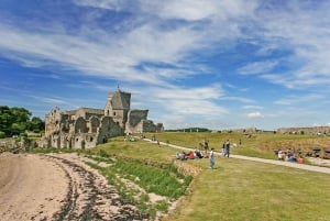 Edimburgo: Crucero turístico 'Firth of Forth' por los Tres Puentes