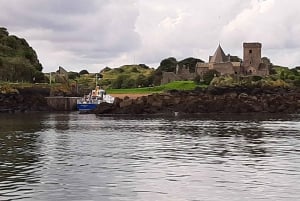 Edimburgo: Crucero turístico 'Firth of Forth' por los Tres Puentes