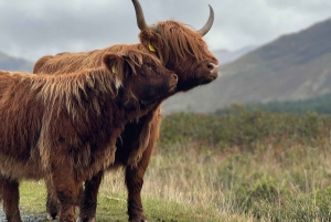 Edinburgh: Dagtocht Glencoe, Glenfinnan & Schotse Hooglanden