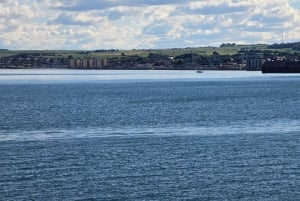 Edimburgo: tour guidato di un giorno con South Queensferry e Kelpies