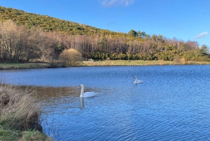 Edinburgh: Guided Hike to Arthur's Seat and Calton Hill