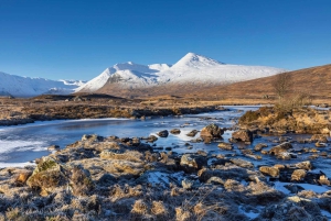 Edimburgo: Viagem de 1 dia à Muralha de Adriano e à fronteira escocesa