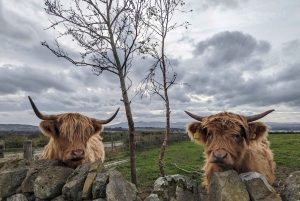 Edinburgh: Harry Potter, Glenfinnan & Highlands – private Tour