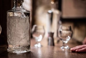 Edinburgh: Harry Potter Origins Tour & Gin Tasting Combo