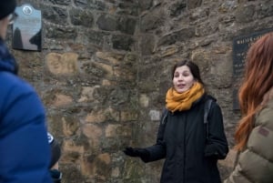 Edinburgh: Harry Potter Public Walking Tour in French