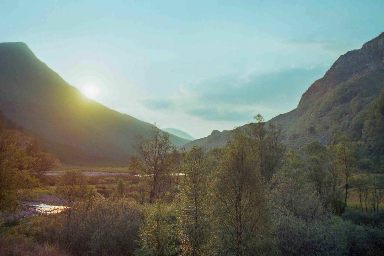 Edinburgh: Highland Cow Hike