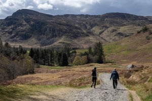 Edimburgo: Excursión para ver vacas de las Highlands