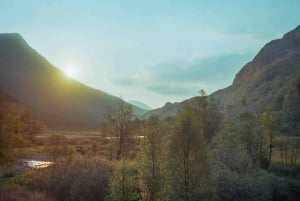 Edinburgh: Highland Cow Hike