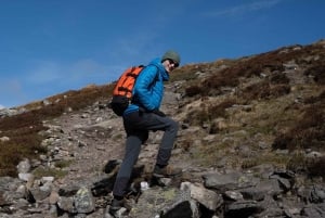 Edinburgh: Highland Cow Hike