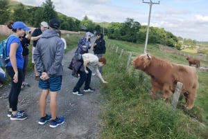 Edimburgo: Excursión por la colina y la naturaleza con un lugareño
