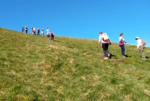 Edimburgo: Excursión por la colina y la naturaleza con un lugareño