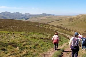 Edimburgo: Excursión por la colina y la naturaleza con un lugareño