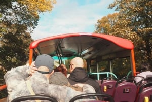 Edinburgh: Hop-On/Hop-Off-Tour mit dem Big Bus im offenen Bus