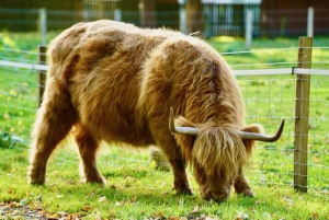 Edinburgh: Ikoniset Outlander-paikat Opastettu päiväretki