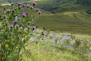 Edinburgh: Privat tur til Loch Ness, Glencoe og højlandet