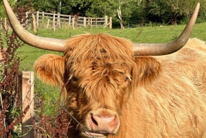 Edinburgh: Loch Ness, Glencoe & Highlands Yksityinen kiertomatka