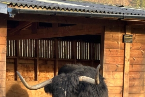 Edinburgh: Loch Ness, Glencoe & Highlands Yksityinen kiertomatka