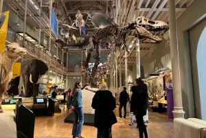 Edimburgo: Visita guiada al Museo Nacional de Escocia