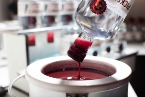 Edimburgo: Pickering's Gin Jolly Tour (Distilleria e degustazione)