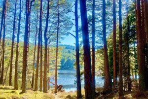 Edinburgh: Privat dagstur til højlandet og Loch Ness