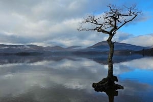 Edimburgo: Tour particular de um dia ao Castelo de Stirling e Loch Lomond