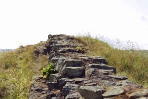 Edimburgo: tour della Cappella di Rosslyn e del Vallo di Adriano in spagnolo